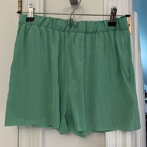 *never worn* Acne Mint Silk Shorts